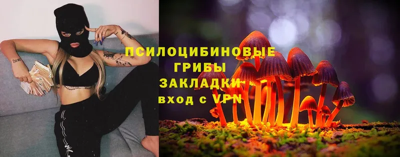 Псилоцибиновые грибы Magic Shrooms  наркотики  Светлоград 