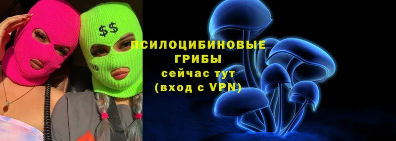 Галлюциногенные грибы Magic Shrooms Светлоград